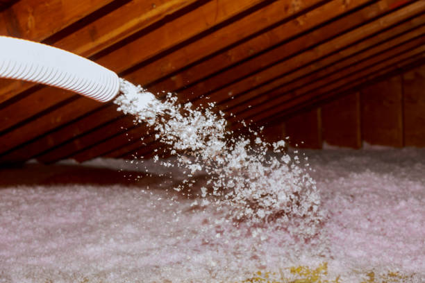Best Specialized Insulation Services in Lakeside, FL