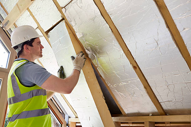 Best Geographic-Specific Insulation Services in Lakeside, FL